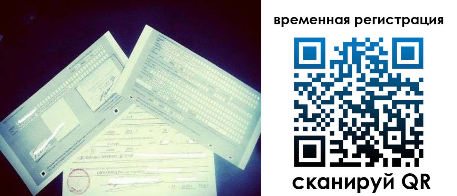 прописка для школы в Благовещенске